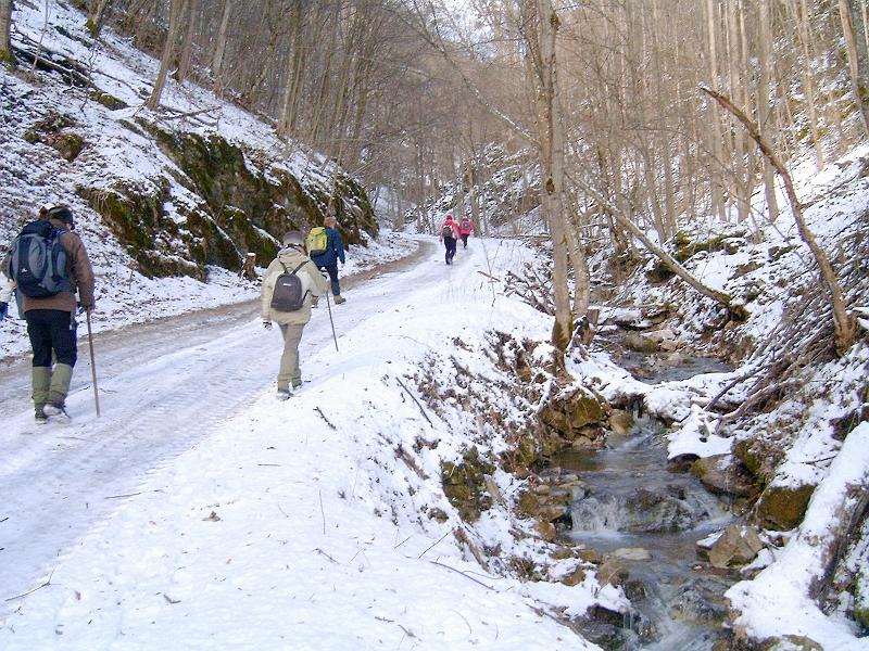 20110122 092.jpg